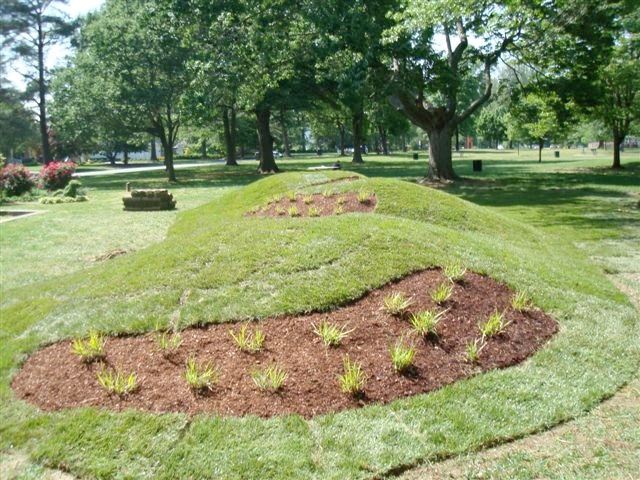 Landscaped Area with Small Crops of Plants