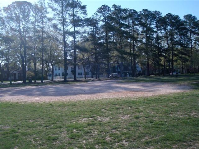 Shady Trees over a Sandy Lot