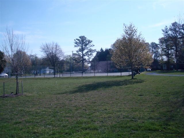 Small Field with Sporadic Trees